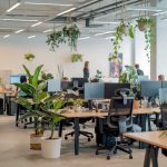 Vue d'un espace de bureau végétalisé