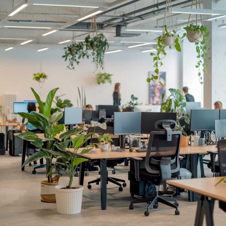 Vue d'un espace de bureau végétalisé