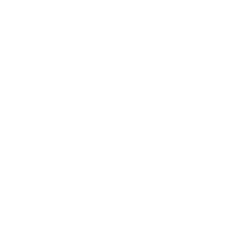Logo Go to the Point blanc